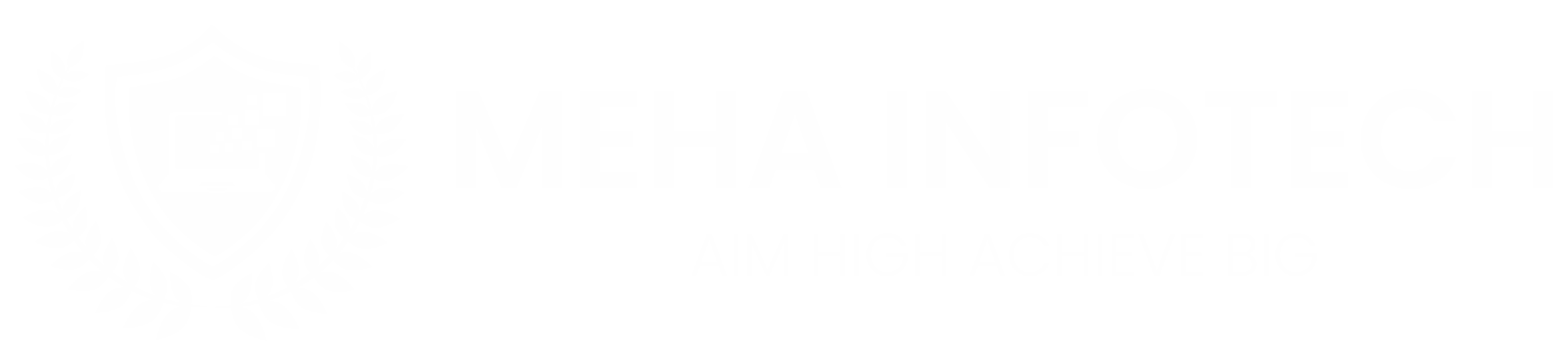 Meha Infotech